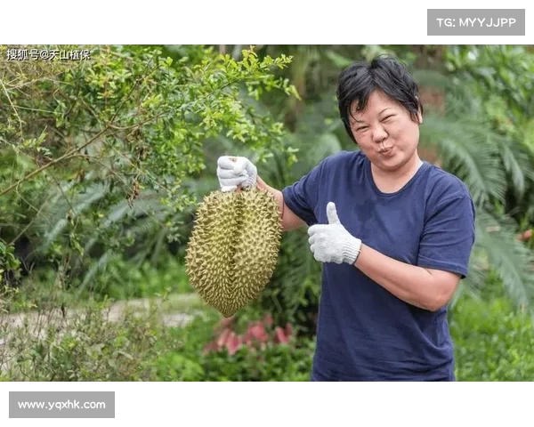 高地红石榴种植的环境要求及其适宜生长条件分析