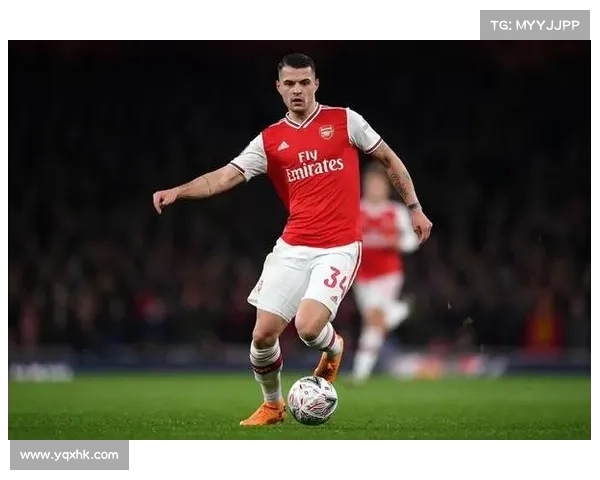 围绕阿森纳遭禁五大原因的深度剖析与影响探讨全景呈现背后动因解读