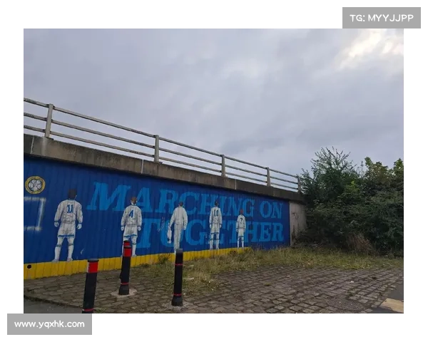 揭示英冠游戏背后的真实与虚假现象 探索虚拟世界与现实足球的碰撞