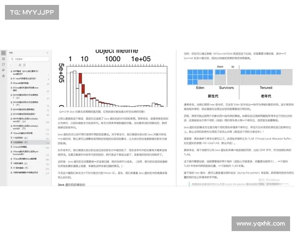 如何深入分析科贝报道中的奖金分配细节及其背后影响因素